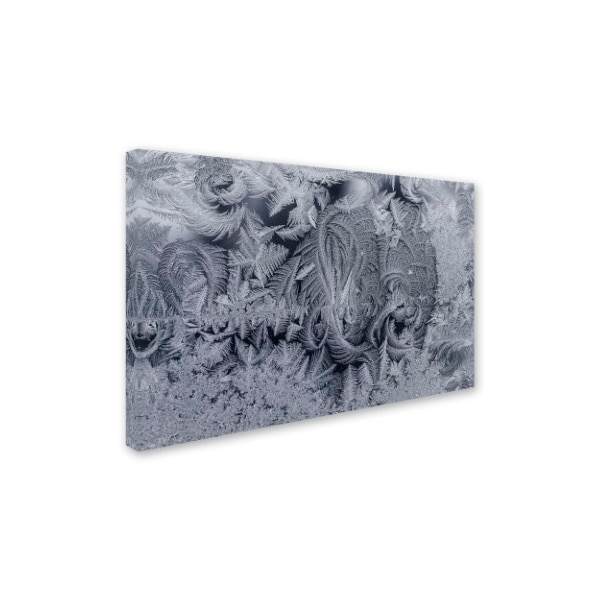Kurt Shaffer 'Frost On My Window 3' Canvas Art,30x47